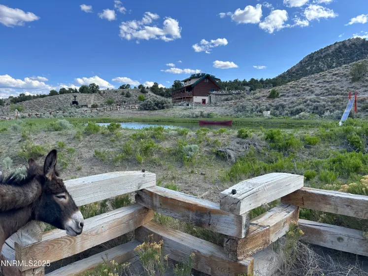 3350 Ike's Canyon, Eureka, Nevada 89316, 4 Bedrooms Bedrooms, ,3 BathroomsBathrooms,Residential,Residential,Ike's Canyon,0,250051982