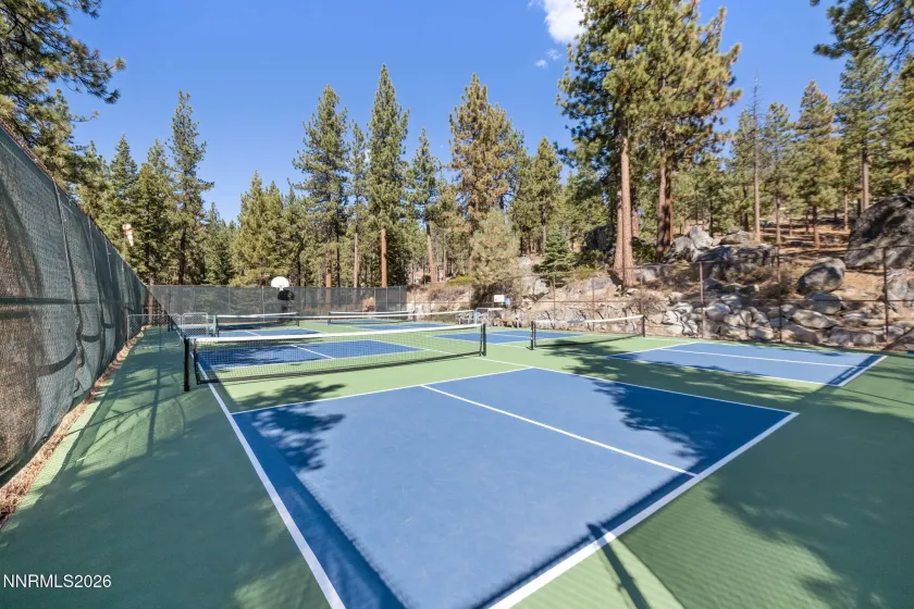 Pickleball court