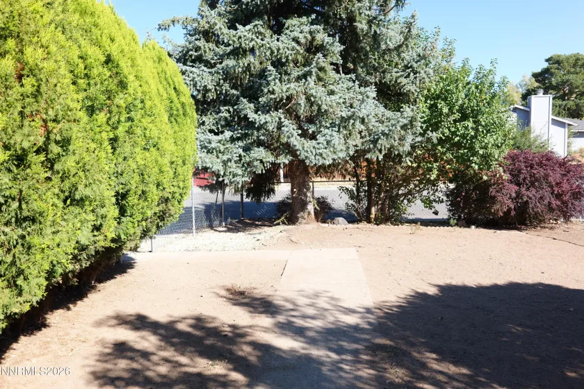 Frontyard