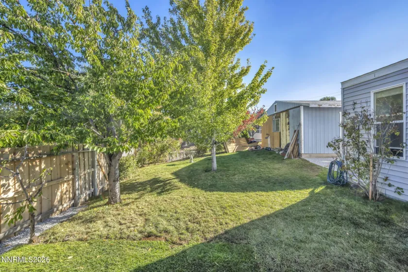Back yard