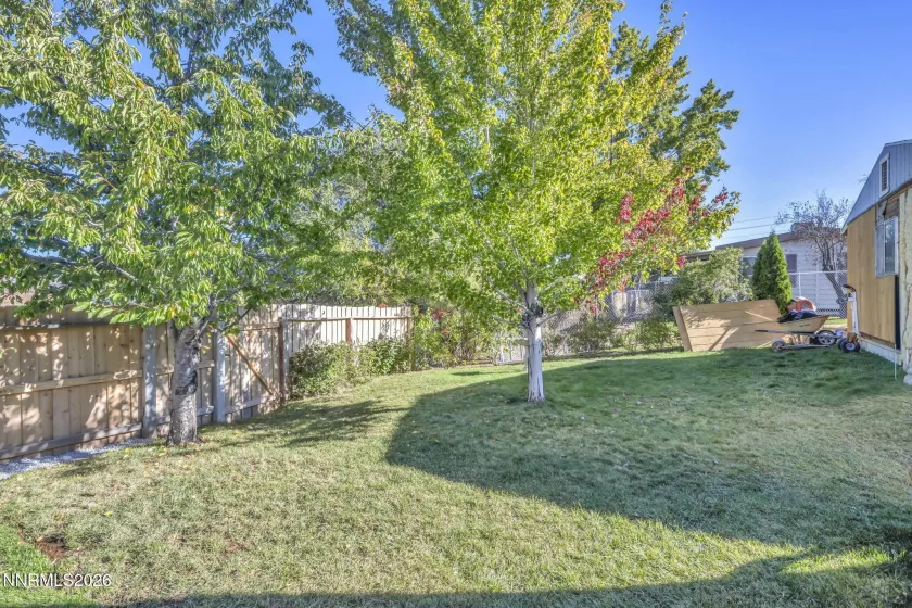 Back yard