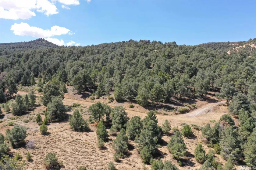 21721 Clemens, Reno, Nevada 89521, ,Land,Residential,Clemens,0,260012974