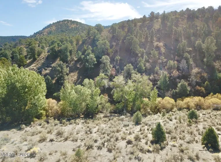 007-700-12 Mill Creek, Battle Mountain, Nevada 89820, ,Land,Residential,Mill Creek,0,260012985