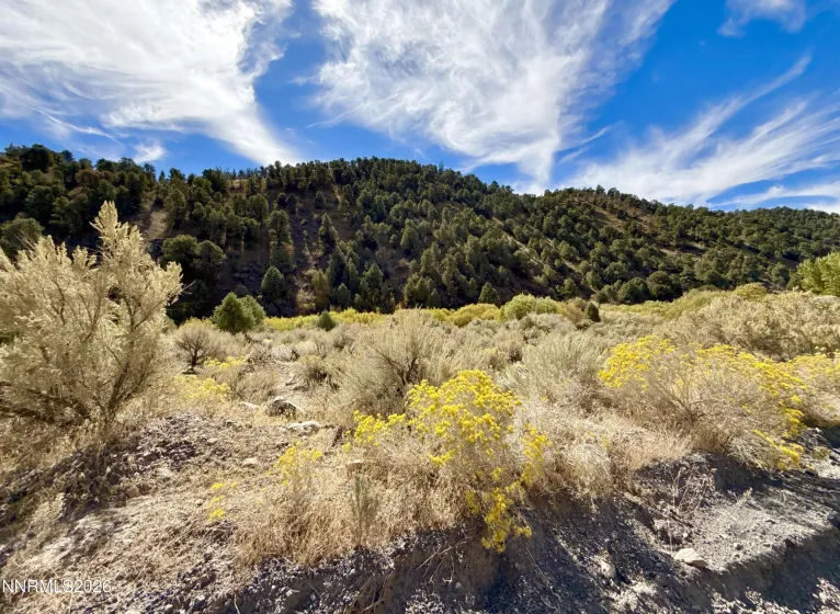 007-700-12 Mill Creek, Battle Mountain, Nevada 89820, ,Land,Residential,Mill Creek,0,260012985