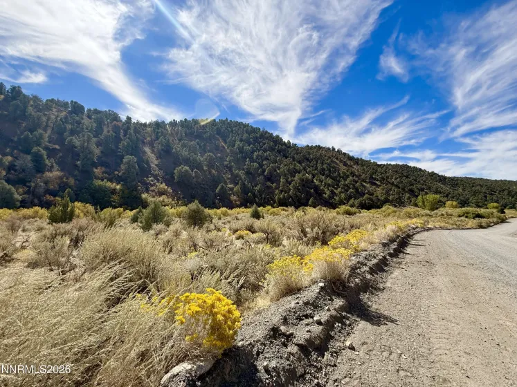 007-700-12 Mill Creek, Battle Mountain, Nevada 89820, ,Land,Residential,Mill Creek,0,260012985