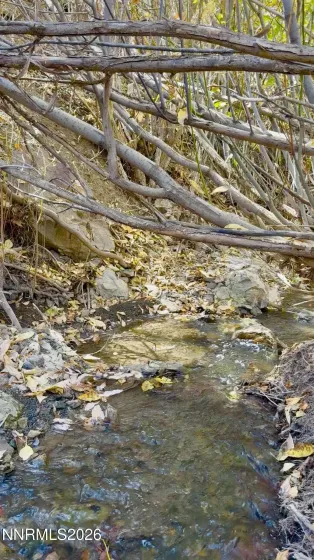 Creek