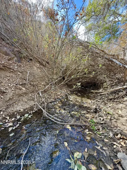 Creek