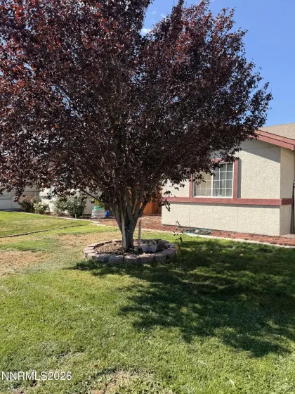 795 Elkhorn, Fallon, Nevada 89406, 3 Bedrooms Bedrooms, ,2 BathroomsBathrooms,Residential,Residential,Elkhorn,0,260013009
