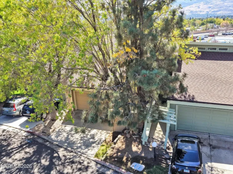 3620 Rosalinda, Reno, Nevada 89503, 3 Bedrooms Bedrooms, ,3 BathroomsBathrooms,Residential,Residential,Rosalinda,0,260013029