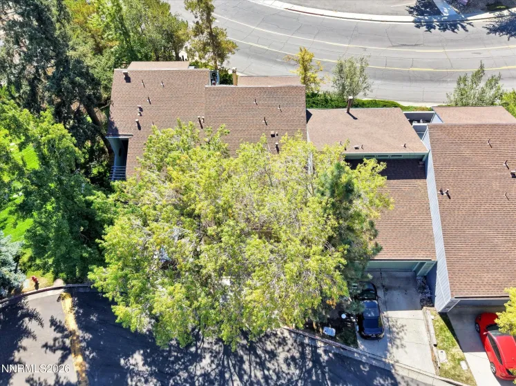 3620 Rosalinda, Reno, Nevada 89503, 3 Bedrooms Bedrooms, ,3 BathroomsBathrooms,Residential,Residential,Rosalinda,0,260013029