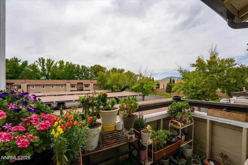 555 Patriot, Reno, Nevada 89511, 2 Bedrooms Bedrooms, ,1 BathroomBathrooms,Residential,Residential,Patriot,0,260013041