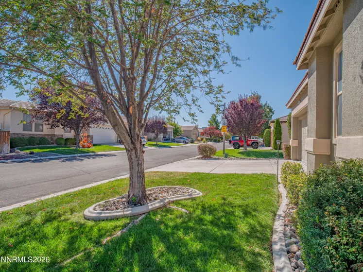 422 La Costa, Dayton, Nevada 89403, 4 Bedrooms Bedrooms, ,2 BathroomsBathrooms,Residential,Residential,La Costa,0,260013042