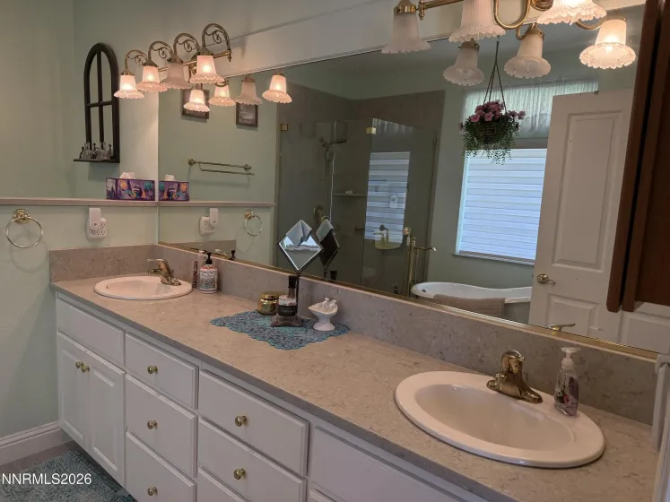 1735 Buzzys Ranch, Carson City, Nevada 89701, 3 Bedrooms Bedrooms, ,2 BathroomsBathrooms,Residential,Residential,Buzzys Ranch,0,260013083