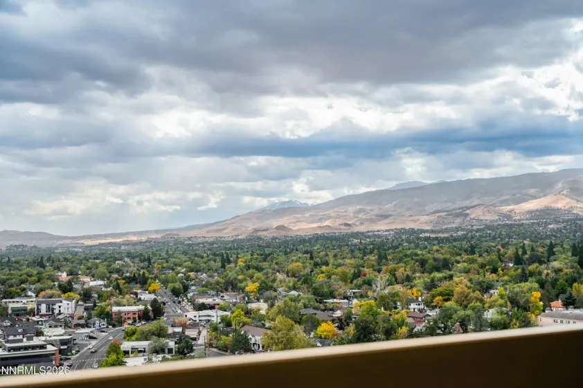 100 Arlington, Reno, Nevada 89501, 2 Bedrooms Bedrooms, ,2 BathroomsBathrooms,Residential,Residential,Arlington,0,260013086