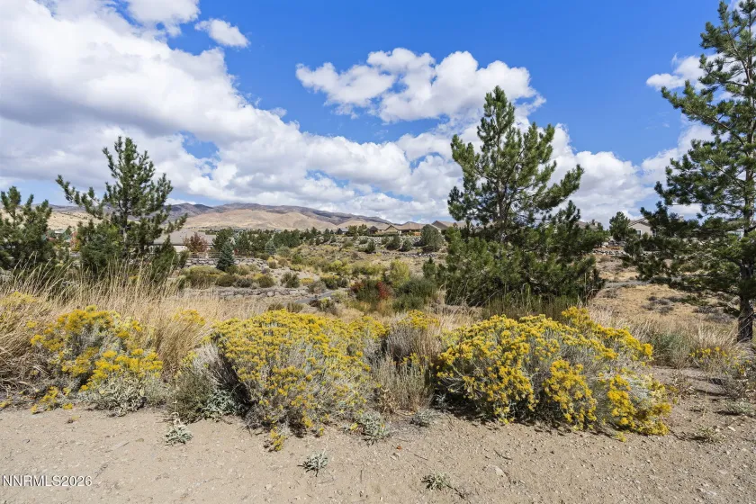 9315 Wrenwood Court, Reno, Nevada 89523, 3 Bedrooms Bedrooms, ,2 BathroomsBathrooms,Residential,Residential,Wrenwood Court,0,260013087