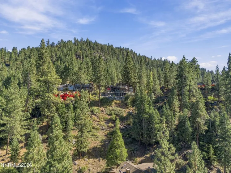 1691 Michael, Glenbrook, Nevada 89413, 4 Bedrooms Bedrooms, ,5 BathroomsBathrooms,Residential,Residential,Michael,0,260013094