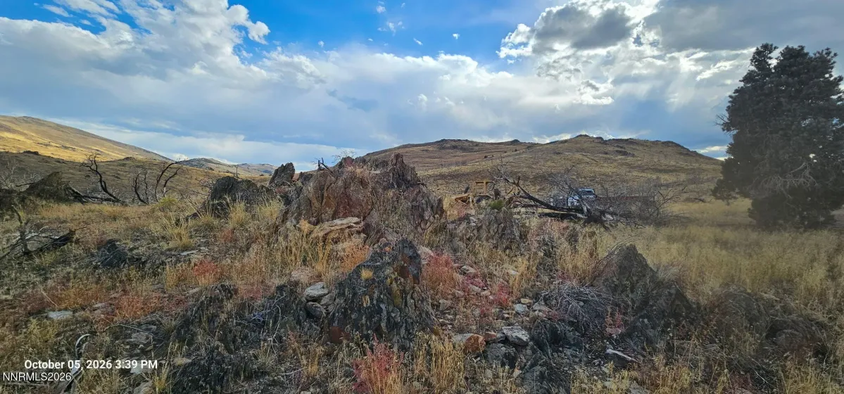 8601 Pinenut Creek, Gardnerville, Nevada 89410, ,Land,Residential,Pinenut Creek,0,260013096