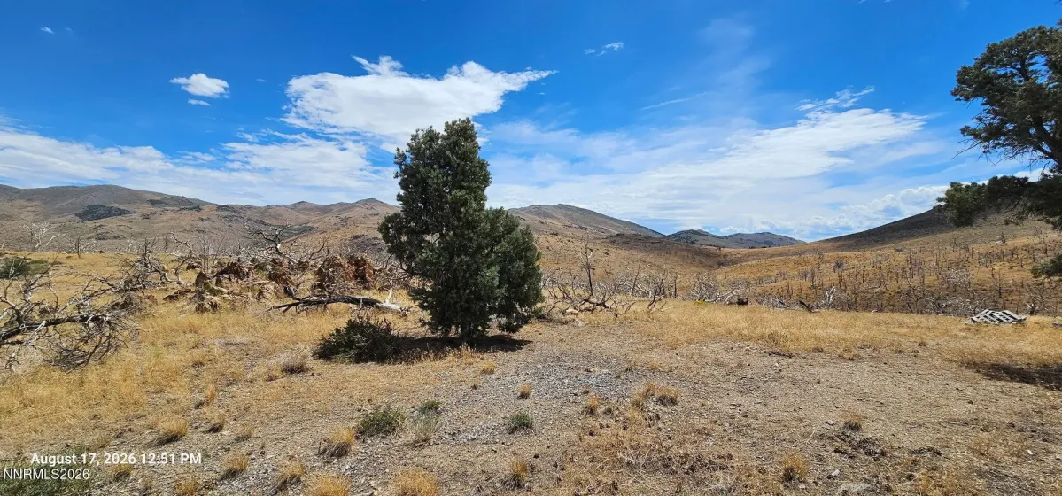 8601 Pinenut Creek, Gardnerville, Nevada 89410, ,Land,Residential,Pinenut Creek,0,260013096