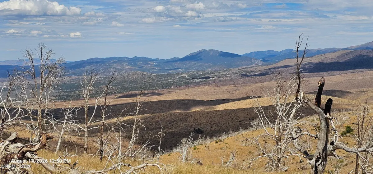 8601 Pinenut Creek, Gardnerville, Nevada 89410, ,Land,Residential,Pinenut Creek,0,260013096