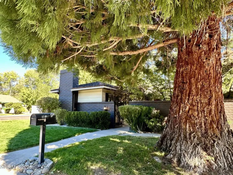 2885 Glenwood, Reno, Nevada 89509, 4 Bedrooms Bedrooms, ,3 BathroomsBathrooms,Residential,Residential,Glenwood,0,260013107