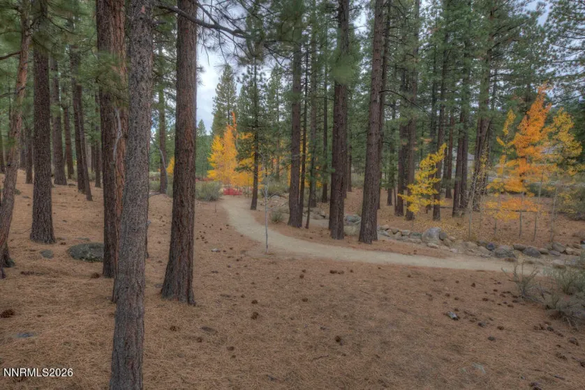 20647 Chanson, Reno, Nevada 89511, ,Land,Residential,Chanson,0,260013120