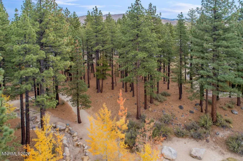 20647 Chanson, Reno, Nevada 89511, ,Land,Residential,Chanson,0,260013120