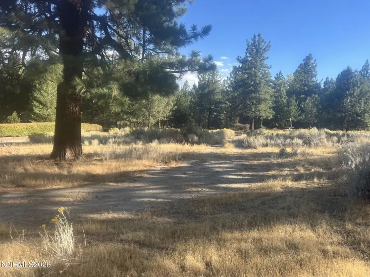 4400 Hobart, Carson City, Nevada 89703, ,Land,Residential,Hobart,0,260013140
