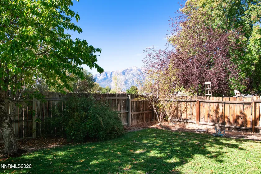 729 Hornet, Gardnerville, Nevada 89460, 3 Bedrooms Bedrooms, ,2 BathroomsBathrooms,Residential,Residential,Hornet,0,260013143
