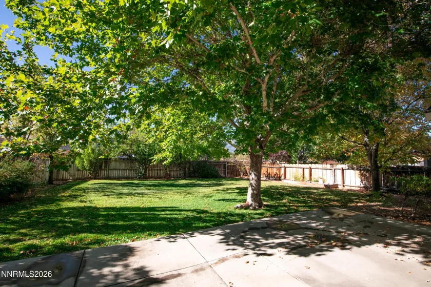 729 Hornet, Gardnerville, Nevada 89460, 3 Bedrooms Bedrooms, ,2 BathroomsBathrooms,Residential,Residential,Hornet,0,260013143