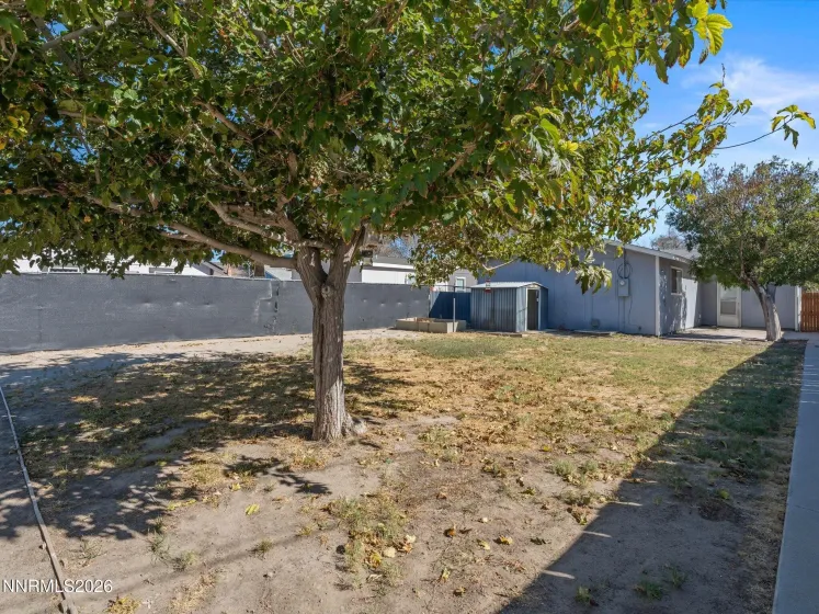 654 Douglas, Fallon, Nevada 89406, 3 Bedrooms Bedrooms, ,1 BathroomBathrooms,Residential,Residential,Douglas,0,260013234