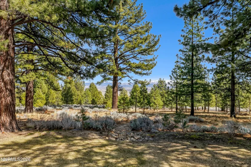 210 Sheridan Creek, Gardnerville, Nevada 89460, ,7 BathroomsBathrooms,Residential,Residential,Sheridan Creek,0,260013365