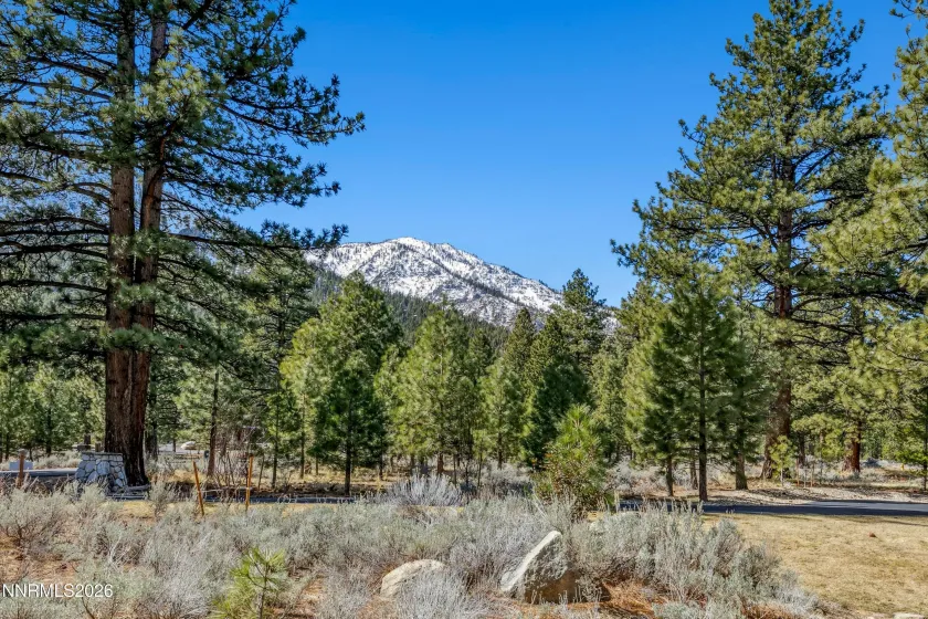 210 Sheridan Creek, Gardnerville, Nevada 89460, ,7 BathroomsBathrooms,Residential,Residential,Sheridan Creek,0,260013365