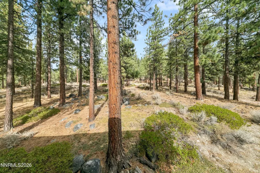 450 Mcfaul, Zephyr Cove, Nevada 89448, 2 Bedrooms Bedrooms, ,3 BathroomsBathrooms,Residential,Residential,Mcfaul,0,260013379