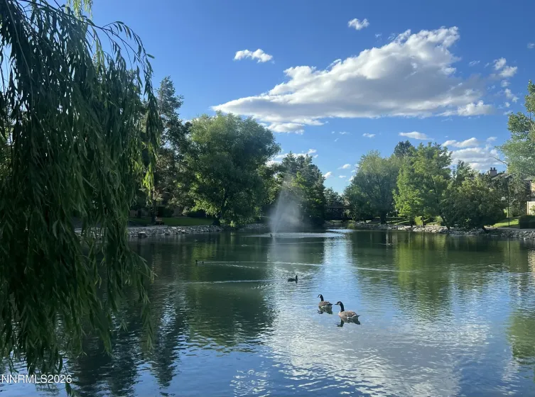 4845 Reggie, Reno, Nevada 89502, 2 Bedrooms Bedrooms, ,2 BathroomsBathrooms,Residential,Residential,Reggie,0,260013403