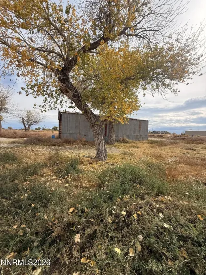 00621140 Wagon, Fallon, Nevada 89406, ,Land,Residential,Wagon,0,260013450