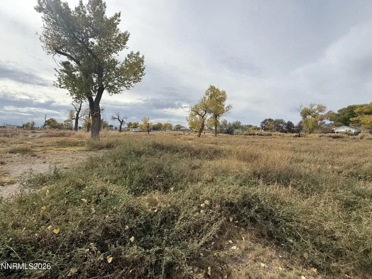 00621140 Wagon, Fallon, Nevada 89406, ,Land,Residential,Wagon,0,260013450