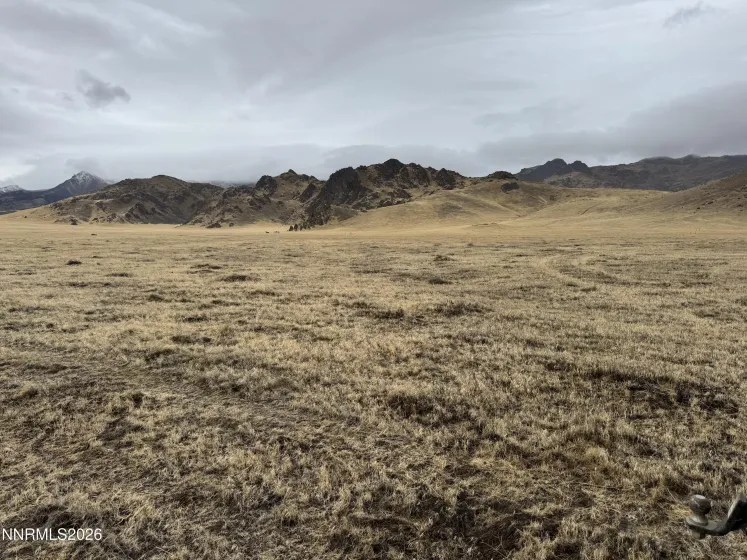 TBD 08-0681-16 Belgian, Golconda, Nevada 89414, ,Land,Residential,Belgian,0,260013475