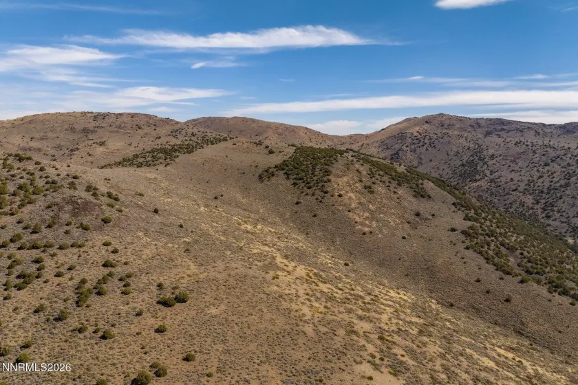0 Left Hand Canyon, Reno, Nevada 89510, ,Land,Residential,Left Hand Canyon,0,260013493