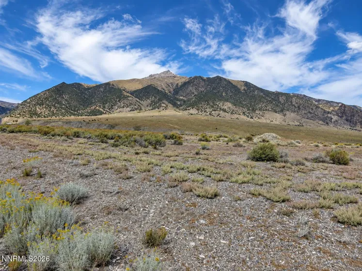 218 Toiyabe, Austin, Nevada 89310, ,Land,Residential,Toiyabe,0,260013519