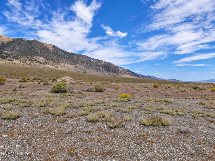 218 Toiyabe, Austin, Nevada 89310, ,Land,Residential,Toiyabe,0,260013519