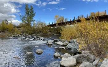 1100 Wyatt, Gardnerville, Nevada 89460, ,Land,Residential,Wyatt,0,260013521
