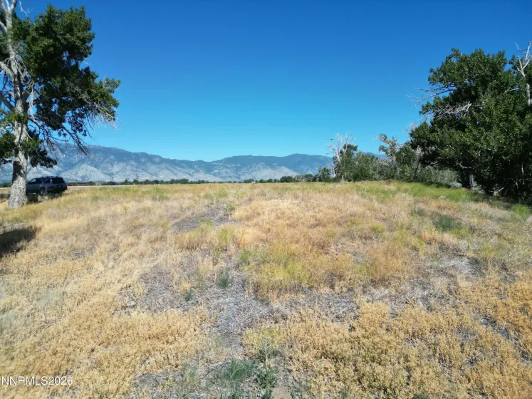 1100 Wyatt, Gardnerville, Nevada 89460, ,Land,Residential,Wyatt,0,260013521