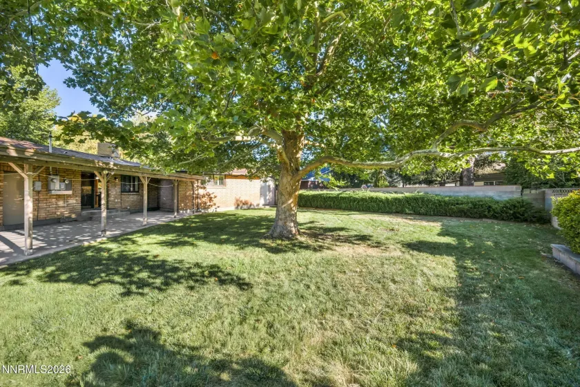 325 Tahoe, Carson City, Nevada 89703, 3 Bedrooms Bedrooms, ,2 BathroomsBathrooms,Residential,Residential,Tahoe,0,260013523