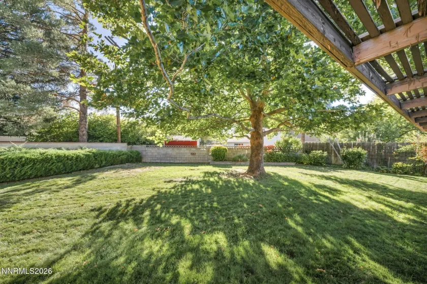 325 Tahoe, Carson City, Nevada 89703, 3 Bedrooms Bedrooms, ,2 BathroomsBathrooms,Residential,Residential,Tahoe,0,260013523