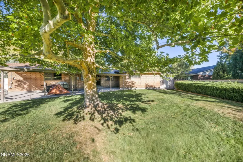 325 Tahoe, Carson City, Nevada 89703, 3 Bedrooms Bedrooms, ,2 BathroomsBathrooms,Residential,Residential,Tahoe,0,260013523