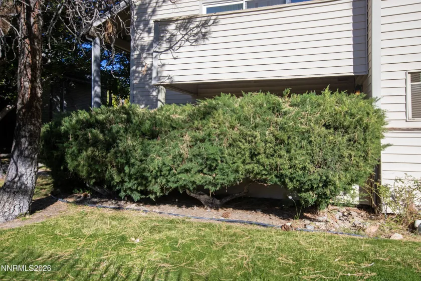 2107 Roundhouse, Sparks, Nevada 89431, 1 Bedroom Bedrooms, ,1 BathroomBathrooms,Residential,Residential,Roundhouse,0,260013567