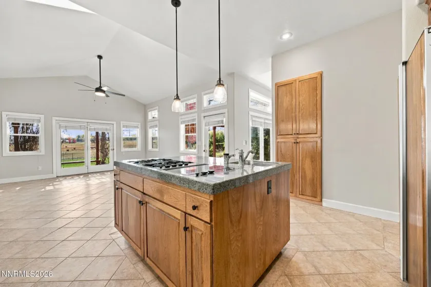 231 Laura Springs, Gardnerville, Nevada 89460, 3 Bedrooms Bedrooms, ,3 BathroomsBathrooms,Residential,Residential,Laura Springs,0,260013572