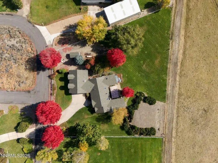 231 Laura Springs, Gardnerville, Nevada 89460, 3 Bedrooms Bedrooms, ,3 BathroomsBathrooms,Residential,Residential,Laura Springs,0,260013572