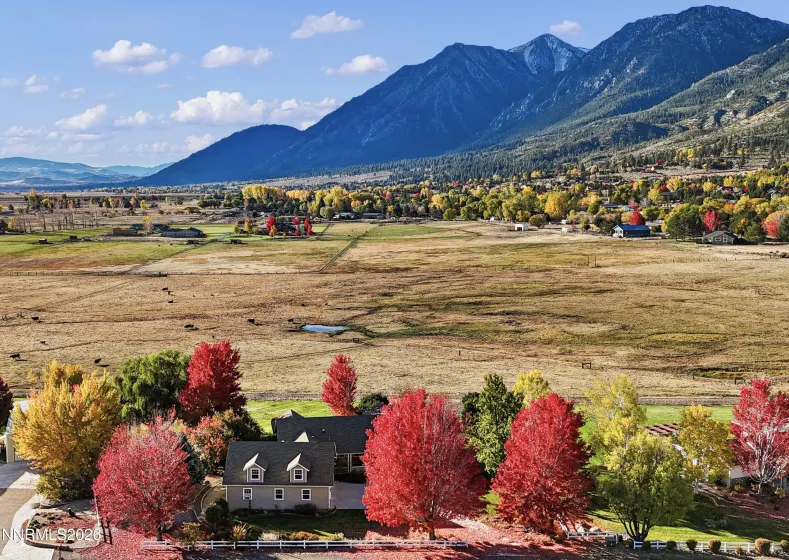 231 Laura Springs, Gardnerville, Nevada 89460, 3 Bedrooms Bedrooms, ,3 BathroomsBathrooms,Residential,Residential,Laura Springs,0,260013572