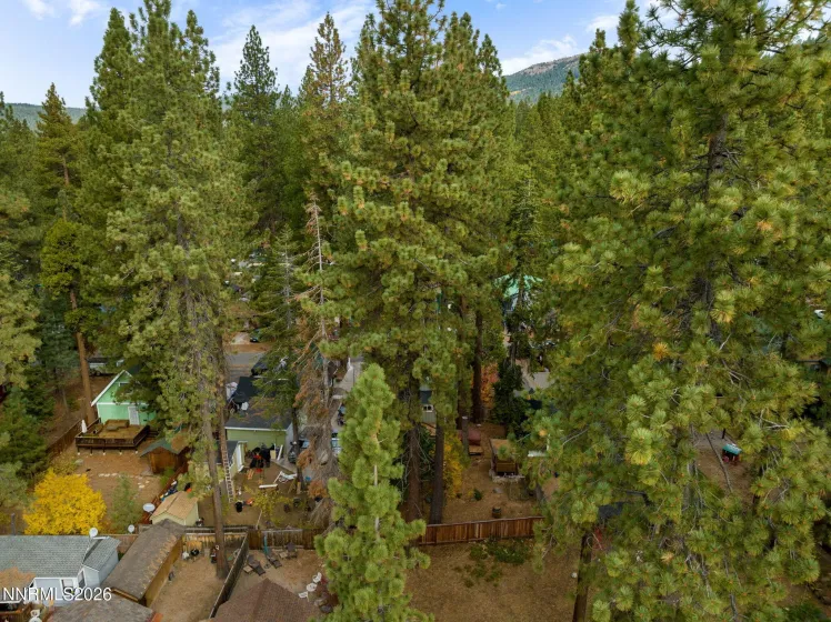 8792 Salmon, Kings Beach, California 96143, 1 Bedroom Bedrooms, ,1 BathroomBathrooms,Residential,Residential,Salmon,0,260013687